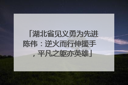 湖北省见义勇为先进陈伟：逆火而行伸援手，平凡之躯亦英雄